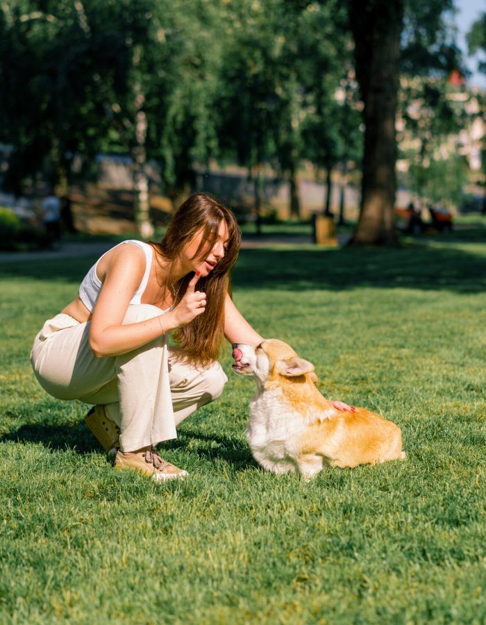 a dog psychologist scolds a cute corgi that does not obey in the park the owner talks to the dog on a walk summer nature animals